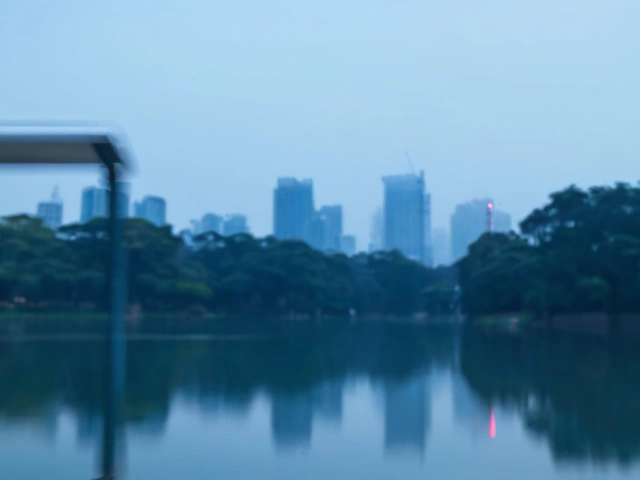 Previsão do Tempo para Domingo em São Paulo: Frio Matinal